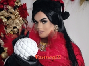 Vannegill