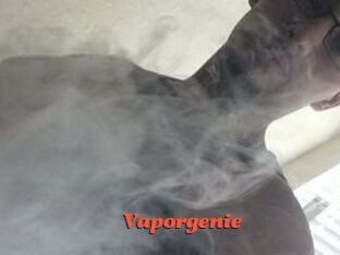 Vapor_genie