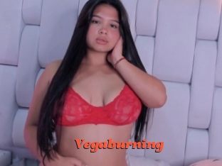 Vegaburning