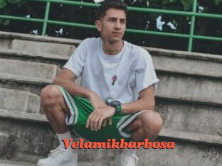 Velamikbarbosa