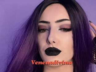 Venenadivina