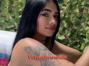 Venusbrownie