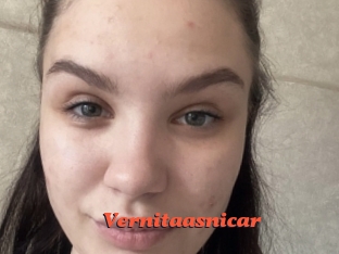Vernitaasnicar