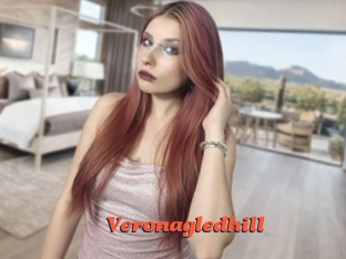 veronagledhill Livespot