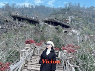 Vicion