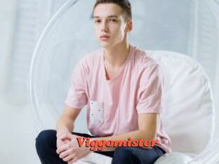 Viggomister