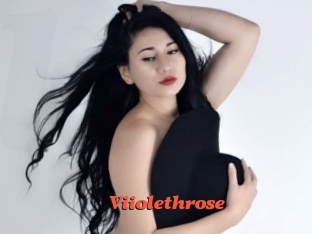 Viiolethrose