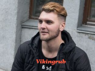 Vikingrub