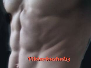 Viktarkushal13