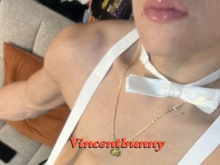 Vincentbunny