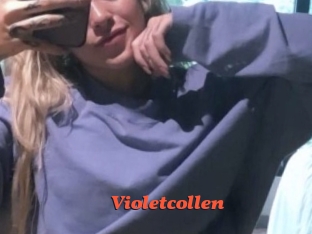 Violetcollen