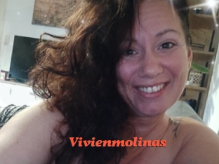 Vivienmolinas