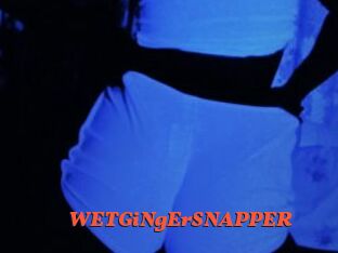WETGiNgErSNAPPER