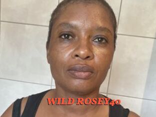 WILD_ROSEY40