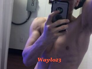 Waylo23