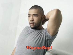 WayneBoyI