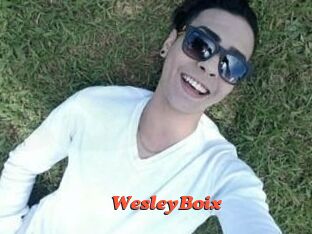 Wesley_Boix