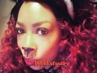 WetEstuary