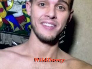 WildDavey