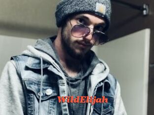 WildElijah