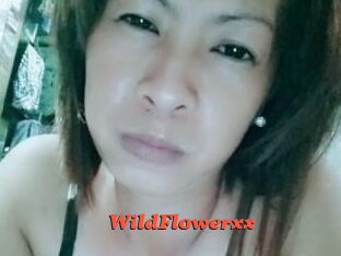 WildFlowerxx