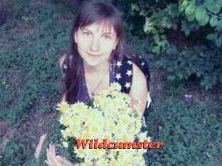 Wildcumster