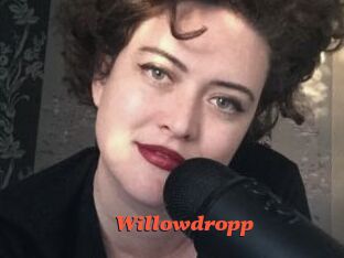 Willowdropp