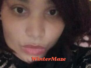 Winter_Maze