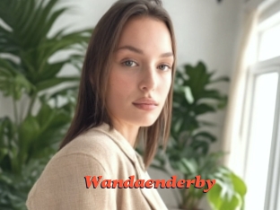 Wandaenderby