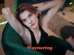 Waynering