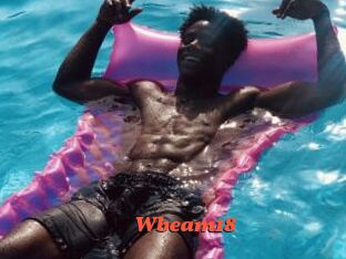 Wbeam18