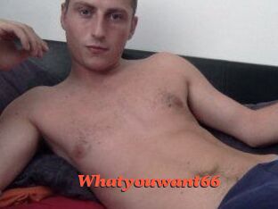 Whatyouwant66