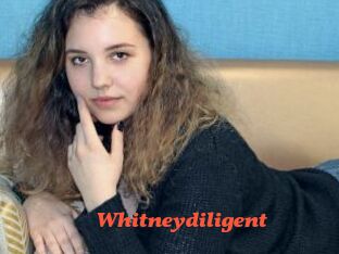 Whitneydiligent