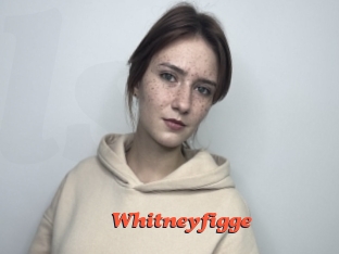 Whitneyfigge
