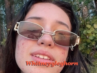 whitneygleghorn Livespot