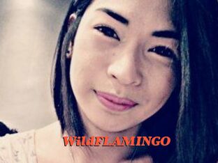WildFLAMINGO