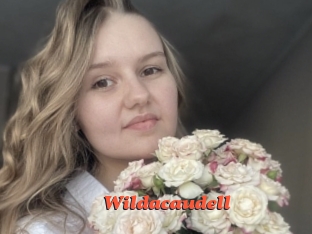 Wildacaudell
