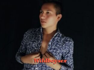 Wildboysex