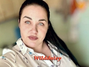 wilddaisy Livespot