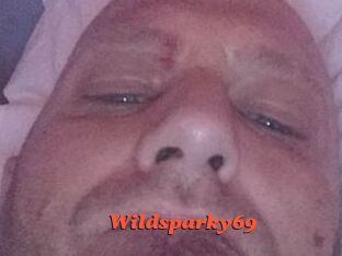 Wildsparky69