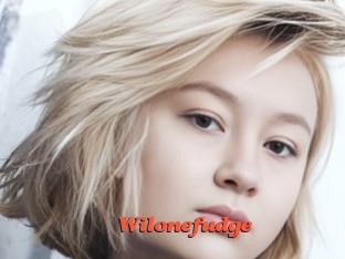 Wilonefudge