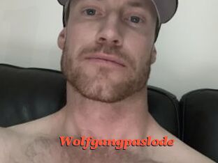 wolfgangpaslode Livespot