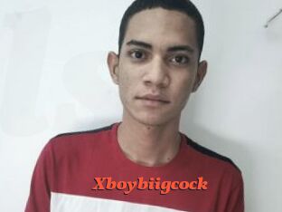 Xboybiigcock