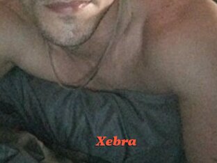 Xebra