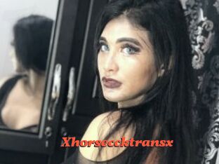 Xhorseccktransx