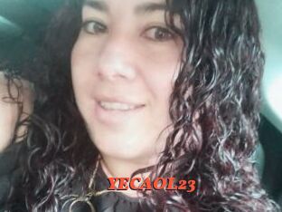 YECAOL23