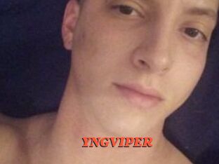 YNGVIPER