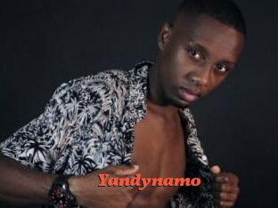 Yandynamo