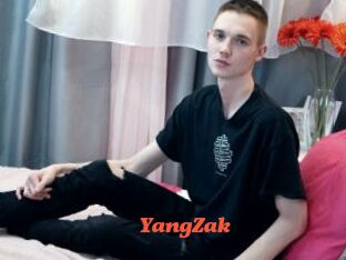 YangZak