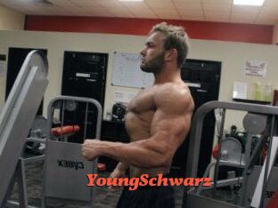 YoungSchwarz Livespot
